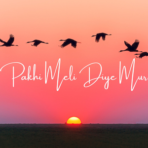 Pakhi Meli Diye Mur (Remastered 2022)