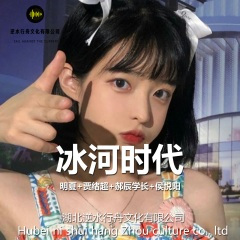 我就喜欢这一款 (DJ版)