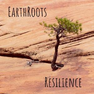 Resilience