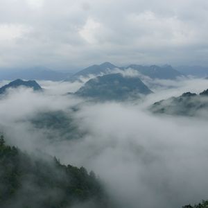 故土思绪的归乡行