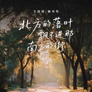 北方的落叶(飘不进南方的街)(和声伴奏)