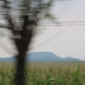 天气微凉