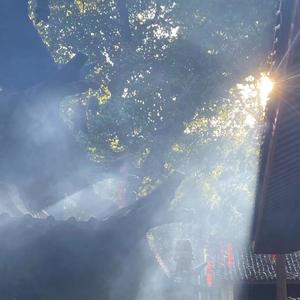 隆里电丝（翻自盛宇D-SHINE）