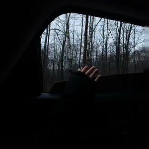 那到底怎样才算自由呢