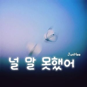 널 말 못했어（来不及说我想你）