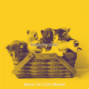 Kittens (Dreams)