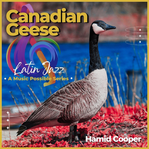 Canadian Geese