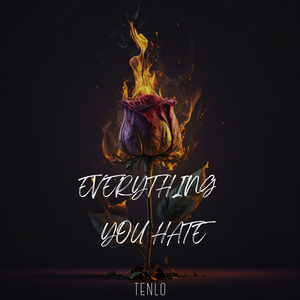 Everything You Hate