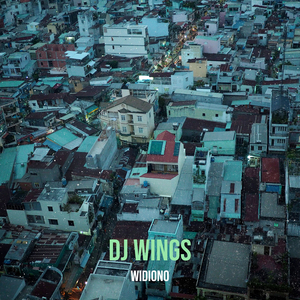DJ Wings