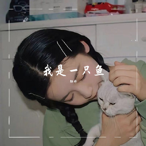 我是一只鱼