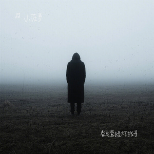 看流萤提灯找寻