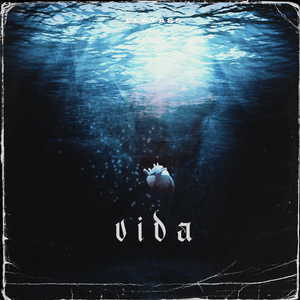 Vida