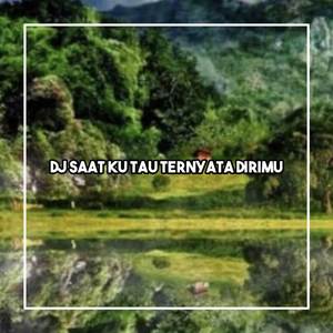 DJ SAATKU TAU TERNYATA DIRIMU SLOW