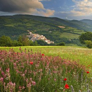 将黄沙掩埋 伴奏
