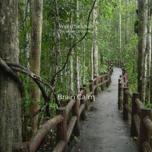 Brain Calm