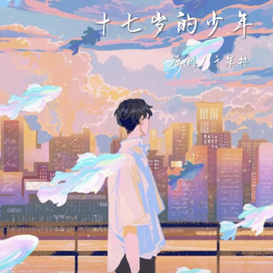 十七岁的少年