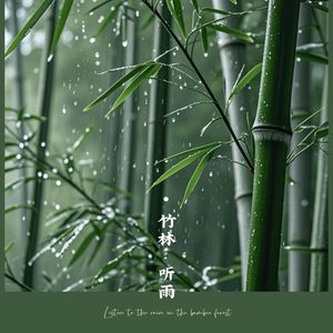 竹林听雨