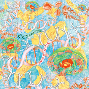 ディスコミュニケーション