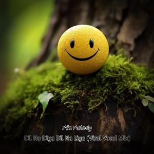 Dil Na Diya Dil Na Liya (Viral Vocal Mix)