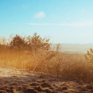 Know You (feat. Ally Michelle)