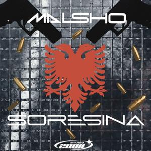 20011 x Malsho (feat. Malsho)