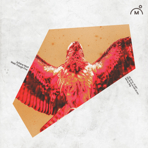 Walk Through Fire (Original mix)