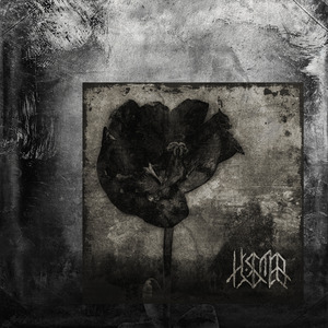 Они греют даже из могил