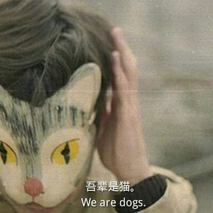 旧情人，我是时间的新欢