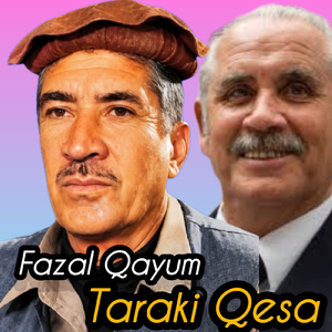 Taraki Qesa