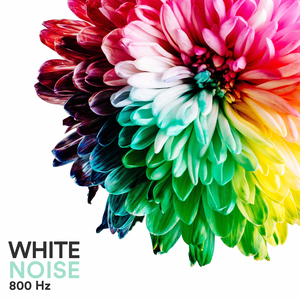 Sternenrauschen für die Sinne