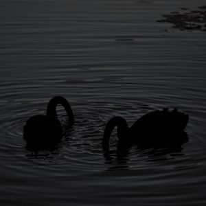 未妨惆怅是清狂