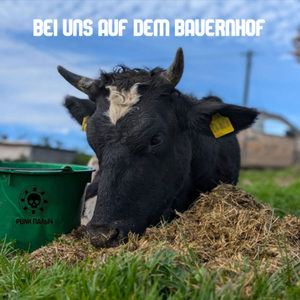 Bei Uns Auf Dem Bauernhof