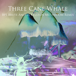Brute Angels (BPS Kelston Mushroom Remix)