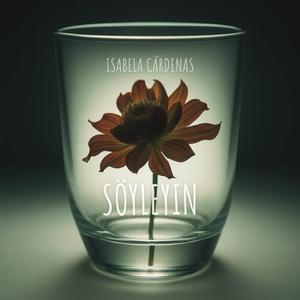 Söyleyin (Inspired Version)