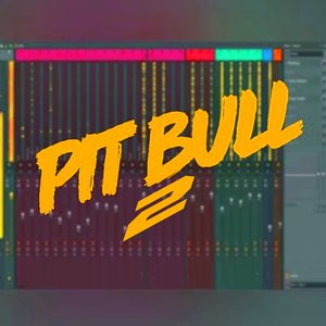 Pit Bull 2