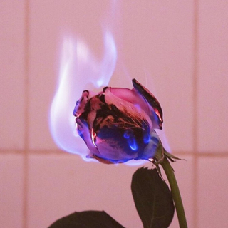 Hiphop 当铺 | 贩卖满眼的陨落星光