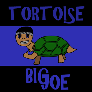 Tortoise