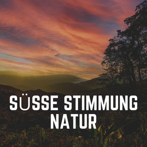 Erstaunliches Wassergeräusch