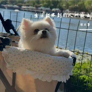 心跳频率