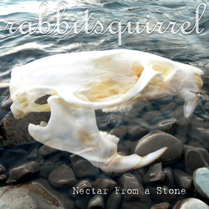 I placed stones in his belly and crystals in his eyes before drinking the nectar