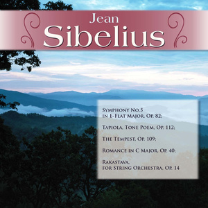 Symphony No.5 in E-Flat Major, Op. 82: II. Andante mosso, quasi allegretto