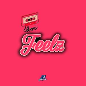 Feelz (Instrumental) (Instrumental)
