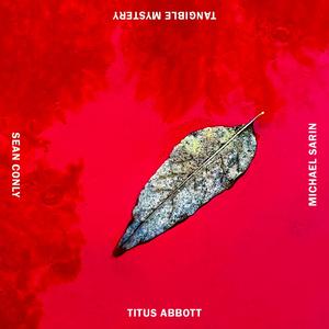 Marigold (feat. Sean Conly & Michael Sarin)