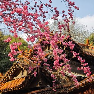翱翔梦想