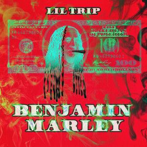 Damn near Lost My Luggage