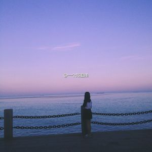 鸽子（翻自 林晨阳）