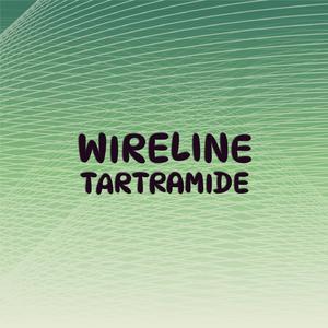 Anthropomorphist Courage