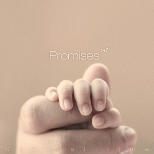 Thomas datt/Gorje hewek/Newman/Arielle Maren/LTN/Morrison Kiers/Navar/Roald Velden/David Hohme-Special time - Promises（DJSEVEN Remix）