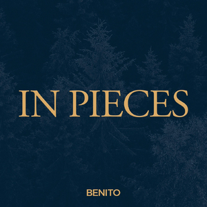 In Pieces