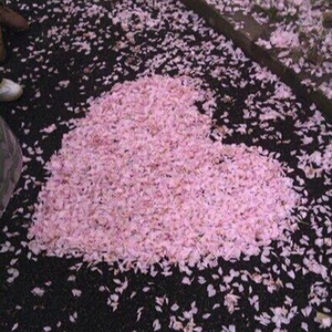 "距离" 免费新风格绝美吉他古筝伴奏Guitar×GuZheng×Sad Type Beat